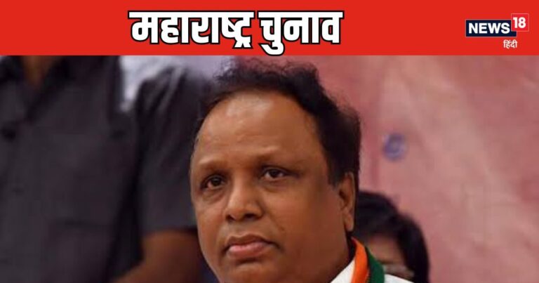 Maharashtra Election: महायुति में 208 सीटों पर बन गई है बात? बीजेपी नेता बोले- सिर्फ 80 सीटों पर होनी है चर्चा – maharashtra assembly election 2024 no need for 208 seat dialogue on 80 constituency seat bjpleader ashish shelar