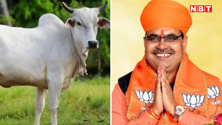 राजस्थान भाजपा विधायक गोरधन वर्मा ने सीएम भजनलाल शर्मा को पत्र लिखकर गाय को राज्य माता घोषित करने की मांग की
