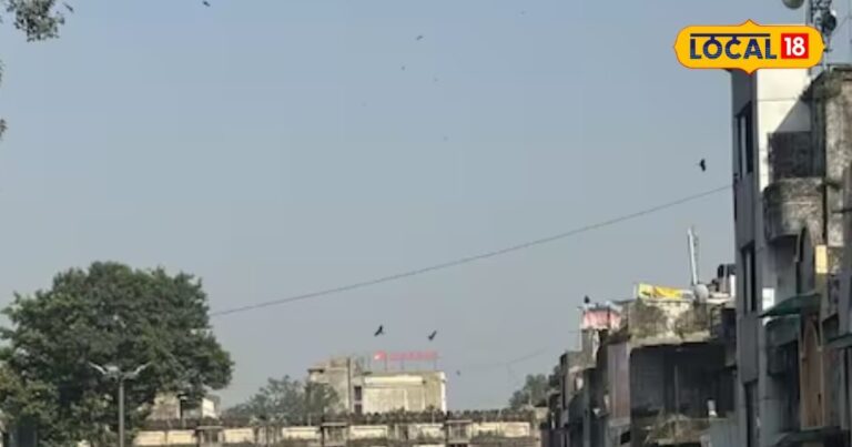 Diwali: सस्ते सामान और दीवाली की धूम! अहमदाबाद के लाल दरवाजा में पैर रखने की जगह नहीं