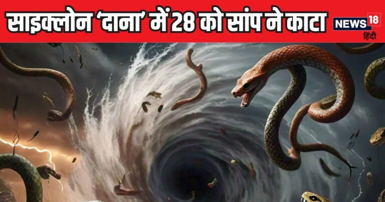 साइक्लोन ‘दाना’ में आ गए कहां से इतने सारे सांप, 28 लोगों को डसा, तूफान के साथ दोहरा कहर टूटा