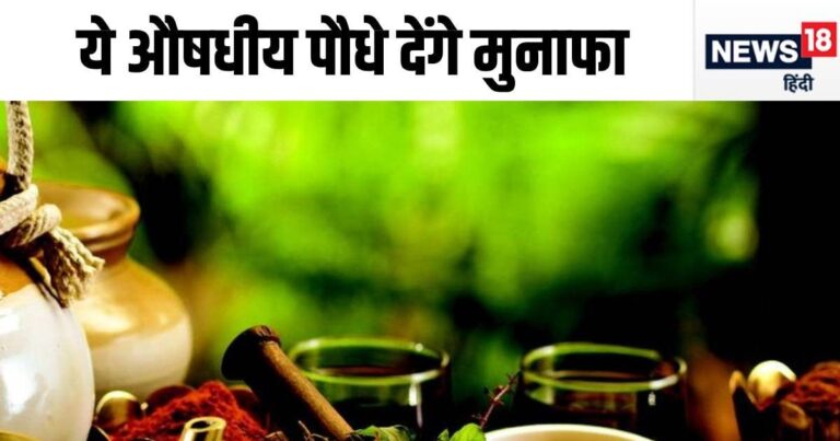 आयुष मंत्रालय 5 औषधीय पौधों को दुनिया में करेगा विकसित, आप भी उगाकर कमा सकते हैं मुनाफा