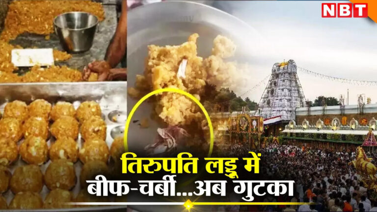 Tirupati Laddu: बीफ-चर्बी विवाद के बाद तिरुपति बालाजी के लड्डू में मिला गुटका पैकेट, भक्तों के लिए फिर झटका! – gutka packet found in tirupati laddu after beef fat controversy shock to devotees know all