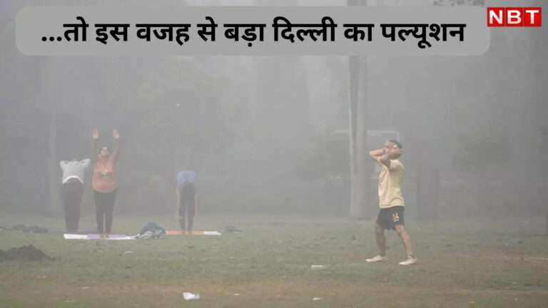 Delhi Pollution: पराली जलाने से नहीं इससे हो रहा दिल्ली-एनसीआर में सबसे ज्यादा प्रदूषण, स्टडी में हुआ चौंकाने वाला खुलासा – delhi ncr pollution main causes thermal power plants polluting more than stubble burning