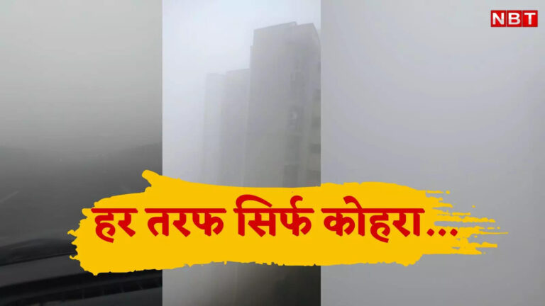 Delhi Weather: हर तरफ फॉग ही फॉग, कोहरे में ‘खो’ गई दिल्ली, मौसम ने तो आज गजब खेल खेल दिया – delhi weather news dense fog visibility low cold wave temperature dips rain alert imd latest report
