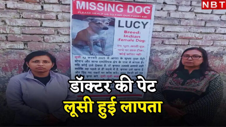 Agra Female Dog Lucy Missing News,लूसी का पता बताने वाले को मिलेगा 50 हजार का इनाम… डॉक्टर की पेट लापता हुई तो की ये घोषणा – agra doctor person announcement who gives about lucy information will get reward of rs 50 thousand