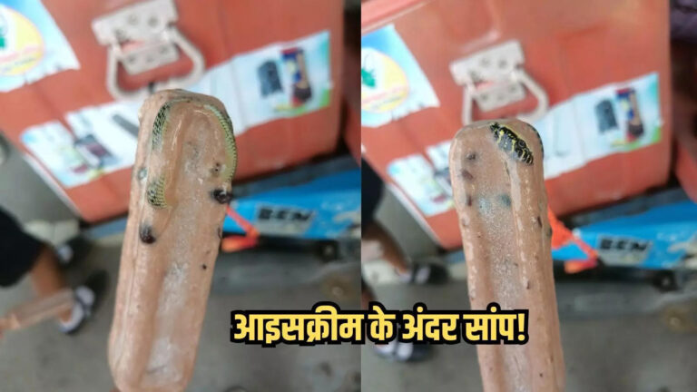 Snake In Ice Cream Thailand,आइसक्रीम का रैपर फाड़ते ही शख्स के उड़े होश, अंदर जमा हुआ था पूरा सांप, वायरल तस्वीर देखकर लोग हुए हैरान – thai man bought ice cream from street vendors found whole frozen snacks inside ice cream bar