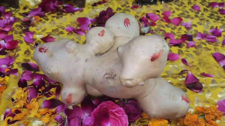 Sambhal News: संभल में आलू पर भगवान शंकर और नदी की छवि का क्या है सच, जानिए – what is truth behind image of lord shiva and river on potatoes in sambhal