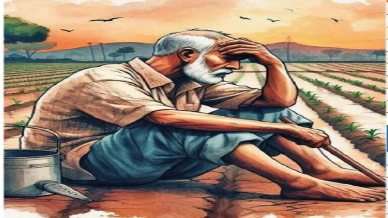 Haryana Farmers,हरियाणा के 27 लाख किसानों पर 60 हजार करोड़ का कर्ज, जानिए किस जिले में कितने किसानों पर कितना कर्ज – haryana farmers news 27 lakh farmers of have debt of 60 thousand crores
