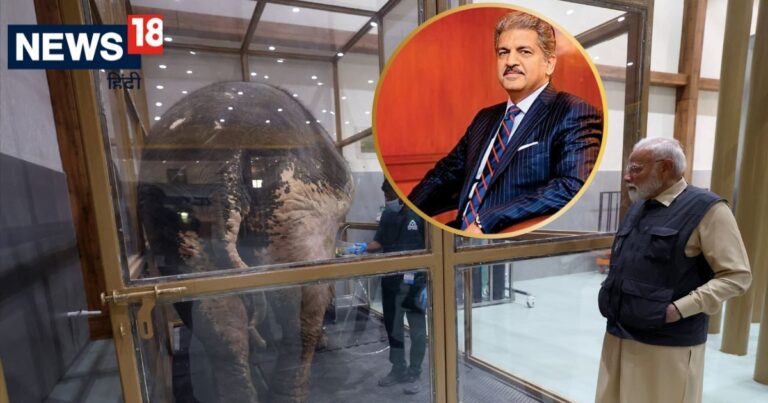 वनतारा को देख आनंद महिंद्रा भी हुए खुश, PM मोदी का पोस्ट शेयर कर अनंत अंबानी की तारीफ की