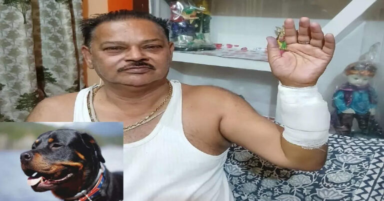 Rottweiler Dog Attack,बाराबंकी: खूंखार रॉटविलर डॉग से सिविल कोर्ट के प्रशासनिक अधिकारी पर कराया हमला, हंसी-मजाक का लिया खौफनाक बदला – rottweiler dog attacked civil court administrative officer owner horrific revenge taken over joke barabanki news