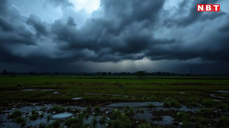 Bhojpur Rain And Hailstorm,बिहार: भोजपुर में अचानक बदला मौसम, तेज हवा के साथ गिरे ओले, सड़कों पर पसरा सन्नाटा, Video देखिए – bihar weather change rain and hailstorm in bhojpur damage wheat and mango crops