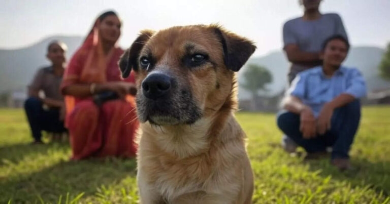 मुंह में डंडा डाल प्लास से दांत उखाड़े, खटिया से बांधकर पीटा, भिंड में डॉग के साथ रूह कंपाने वाली घटना – teeth pulled out with pliers by putting stick in mouth beaten after being tied to cot incident with dog in bhind