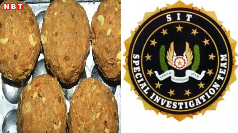 Tirupati Laddu Adulteration Case,Gwalior News: तिरुपति लड्डू मिलावट मामले की जांच कर रही SIT ने ग्वालियर के व्यापारी को क्यों जारी किया नोटिस – sit probing tirupati laddu adulteration case issued notice to gwalior trader suspected ghee adulterate connection mp news
