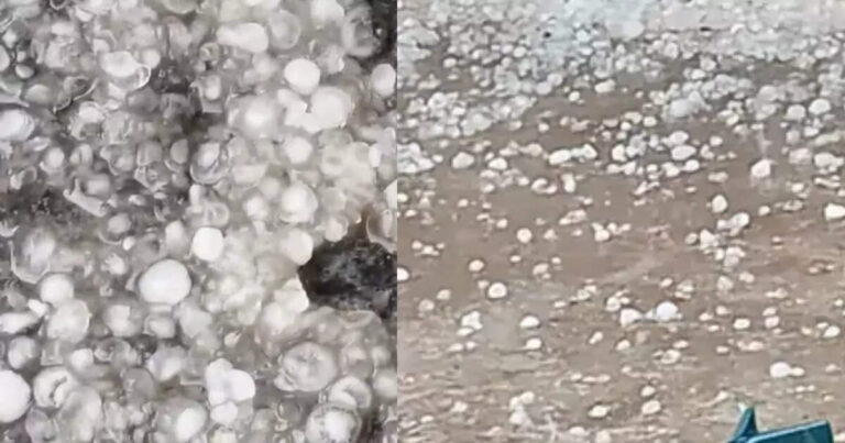 Hailstorm: सड़कों पर बिछी सफेद चादर, मानसून जैसी हुई बरसात, भारी ओला वृष्टि से फसलों को नुकसान, जानें मौसम अपडेट – heavy hailstorm in gaurela-pendra-marwahi monsoon like rain damages crops know weather update