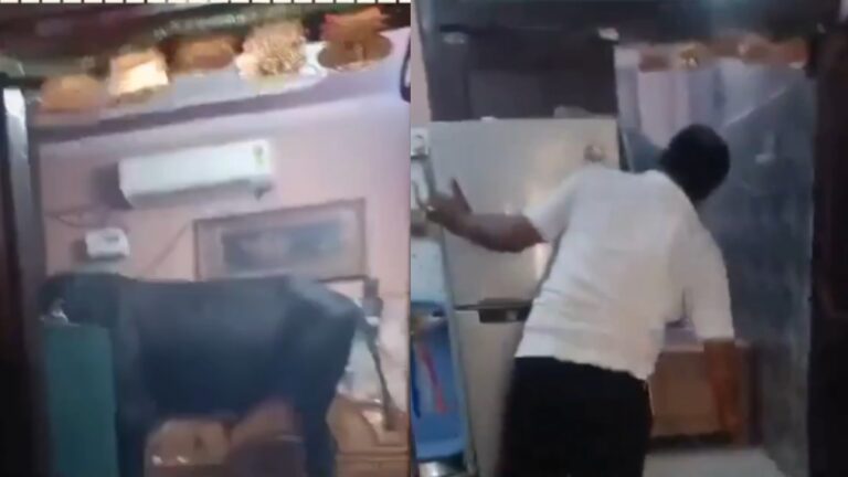 Viral: सांड से बचा लो! घर के बेडरूम में घुस आया आवारा जानवर, महिला ने अलमारी में छिपकर काटे डरावने 2 घंटे | Viral A stray animal entered the bedroom of house woman spent 2 scary hours hiding in cupboard