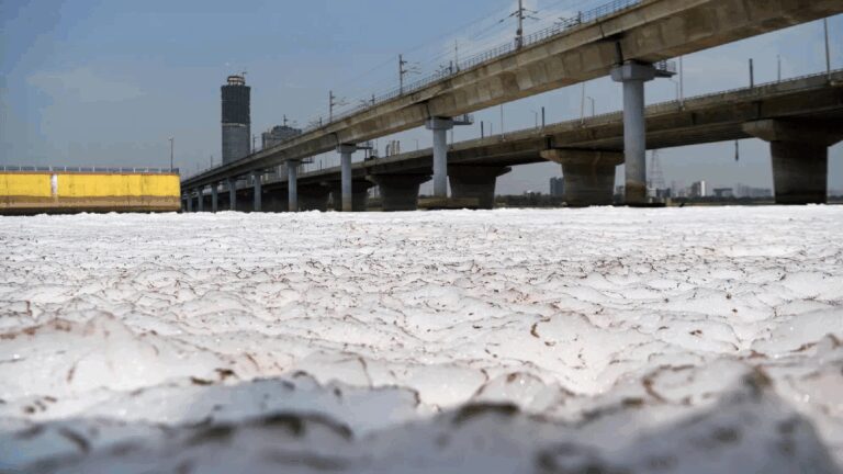 अच्छी खबर! यमुना में अब कम बनेगा झाग, कम हो गया फॉस्फेट – yamuna phosphate levels down but oxygen still zero dpcc report