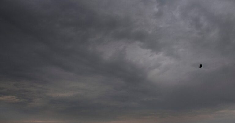 IMD Weather: बंगाल की खाड़ी में बढ़ी हलचल, करोड़ों लोगों के लिए गुड न्यूज, दिल्लीवालों पर भी मौसम मेहरबान | imd weather forecast southwest monsoon lands before time enter bay of bengal bihar uttar pradesh west bengal rain latest news