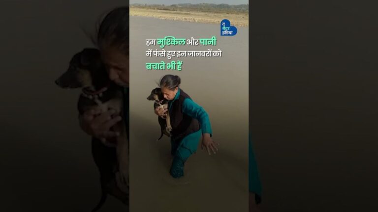 पंजाब की बाढ़ से 1500 बेज़ुबानों को बचाया