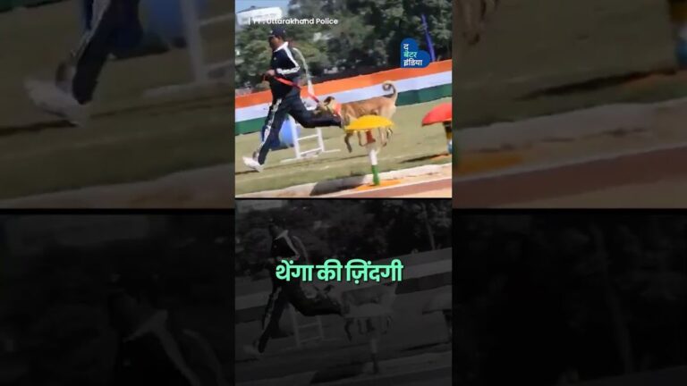 कभी सड़क पर बेसहारा था आज देश का रखवाला है थेंगा | Street Dog Hero | Animal Love | Thenga