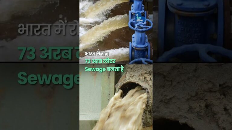 दिल्ली की यमुना नदी को बचाने के लिए छोड़ दी अपनी नौकरी | Earth Warriors