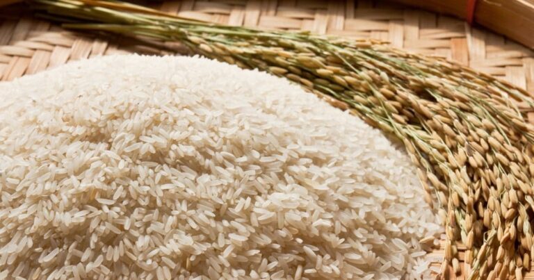 Basmati Rice Dispute: बासमती की वजह से क्यों अटका यूरोपीय यूनियन से भारत का फ्री ट्रेड एलायंस, जानिए पाकिस्तान से क्या है विवाद