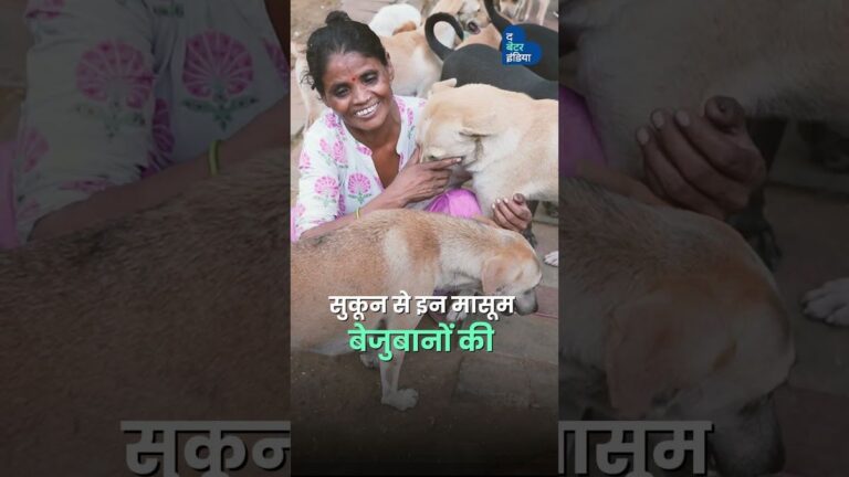 झोपड़ी में रहकर, भीख मांगकर, संवार रही हैं बेजुबानों की जिंदगी | Mother of 80 Dogs