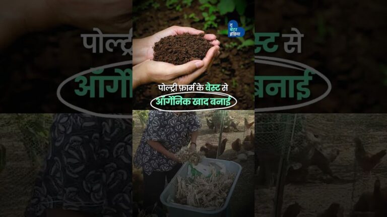 दो बहने शहर छोड़कर बनीं किसान | Two Sisters Farming | Dehradun