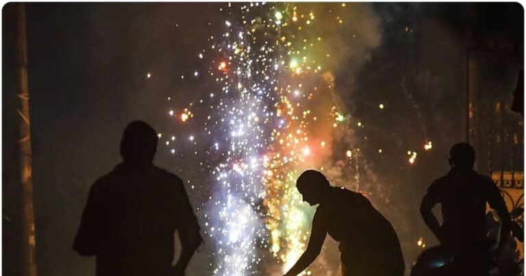 Diwali 2025: पिज्जा और तरबूज जैसे पटाखे… आतिशबाजी की चमक से जगमगाया आकाश, शिवकाशी में पटाखों की बिक्री 7000 करोड़ के पार