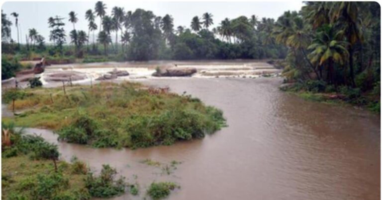 Mullaperiyar Dam Water Level । Tamil Nadu Heavy Rain । Mullaperiyar River Flood । दिवाली से पहले दहशत, तमिलनाडु के कई गांव और खेत पानी में डूबे, घरों तक पहुंच गए सांप और जंगली जीव