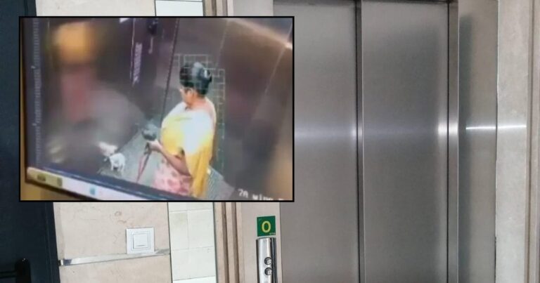 नौकरानी ने लिफ्ट में किया दिल दहला देने वाला काम, पालतू कुत्ते के साथ…CCTV में पूरा सच कैद