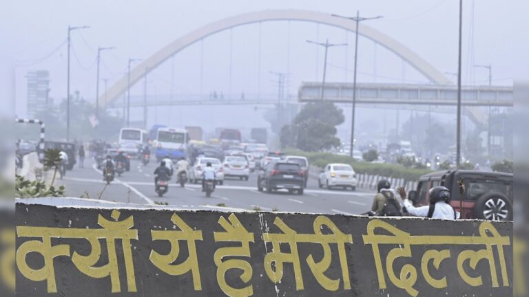 Delhi Pollution Killing: दिल्ली में जहरीली हवा मौत की सौदागर, 100 में से 15 की ले रही जान, सामने आया एक्स्पर्ट्स का चौंकाने वाला खुलासा