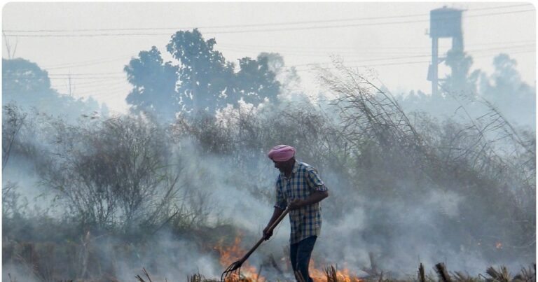 Punjab Parali News । CAQM Warn Punjab । Paddy Stubble । Delhi AQI । Delhi Air Pollution । पराली जलाने की घटनाओं पर तुरंत रोक लगाए पंजाब, CAQM ने दी चेतावनी, जानें हरियाणा को लेकर क्या कहा?