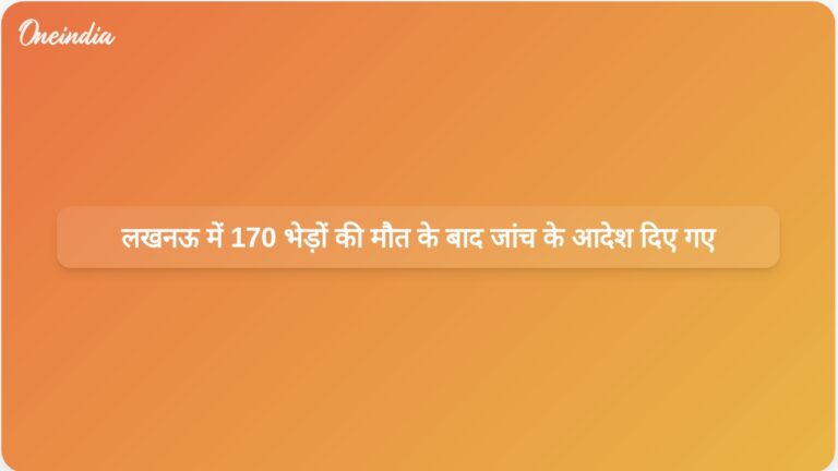 लखनऊ क्षेत्र में रहस्यमय तरीके से 170 भेड़ों की मौत के बाद जांच शुरू की गई | लखनऊ में 170 भेड़ें रहस्यमय तरीके से मर गईं; मुख्यमंत्री ने जांच के आदेश दिए