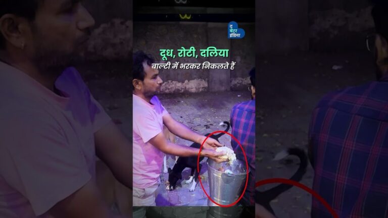 दिनभर खाने का ठेला चलाते, रात में करते हैं पशुओं की सेवा | Rajasthan | Animal Lover