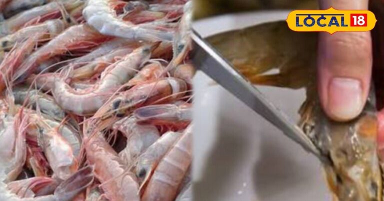 jhinga machhli revealed important for health | मछली खाने के शौकीनों! क्या आप जानते हैं कि झींगा की काली नस को बिना निकाले खाने से क्या होता है? जानिए सच