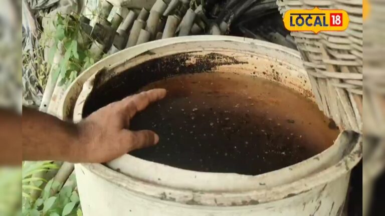 खाद की लाइन में लगने से बचें, घर पर ऐसे तैयार करें बिना केमिकल वाला बेहतरीन फर्टिलाइजर, किसान ने बताया तरीका
