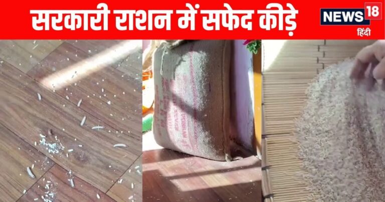 ‘खाना तो छोड़िये देख भी नहीं सकते’, हिमाचल में सरकारी डिपो के राशन में निकले कीड़े, VIDEO ने खोली पोल
