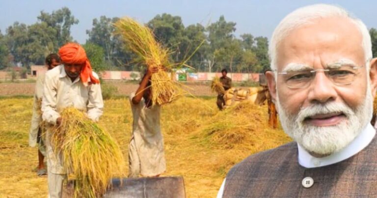 नए साल पर गुड न्यूज: किसानों ने ऐसी भरी झोली, चीन भी रह गया पीछे, जानकर आप भी कह उठेंगे वाह