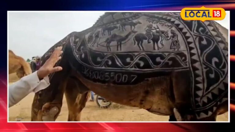 गजब… इस ऊंट की पीठ का किसका चेहरा बना दिया गया है, देखने वाले रह जा रहे दंग!