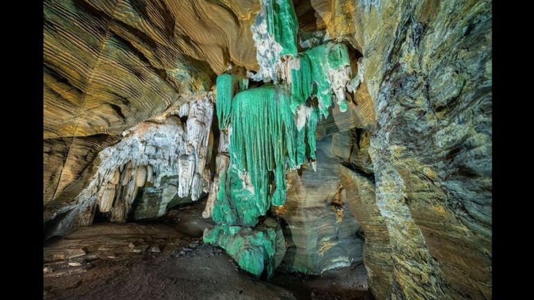 Chhattisgarh News: कांगेर घाटी में मिली अनोखी ‘ग्रीन गुफा’, पर्यटन के नए द्वार खुलने की तैयारी | छत्तीसगढ़ के कांगेर घाटी राष्ट्रीय उद्यान में ग्रीन गुफा का आगमन