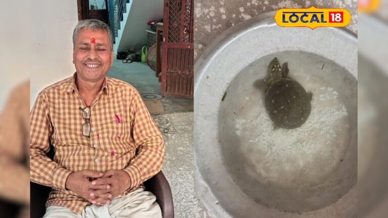 इस जीव को घर में पालने से होती है धन की अपार वर्षा, भगवान विष्णु का है सूचक, बढ़ती है सुख समृद्धि