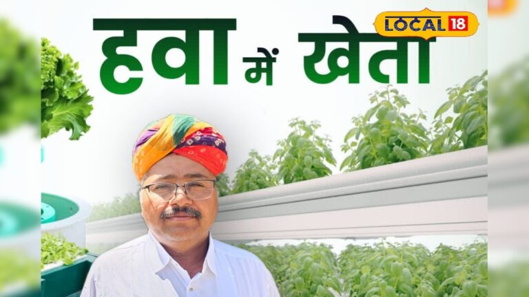 OMG! बाड़मेर के किसान का कमाल, बिना मिट्टी के उगा दी फसल, कम पानी में हो रही बम्पर पैदावार