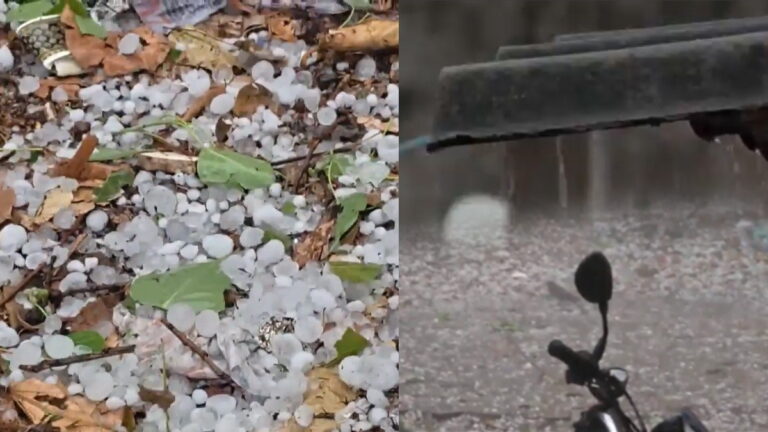 MP Weather: ग्वालियर में तेज बारिश के साथ 10 मिनट तक हुई ओलावृष्टि, IMD ने 45 जिलों के लिए जारी किया अलर्ट | MP Weather: Gwalior Hit by Hailstorm for 10 Minutes, IMD Issues Warning for 45 Districts”