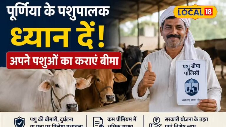 Animal Insurance: गाय-भैंस पालने वालों के लिए खुशखबरी! अब हादसे में मिलेगा ₹50 हजार तक का मुआवजा
