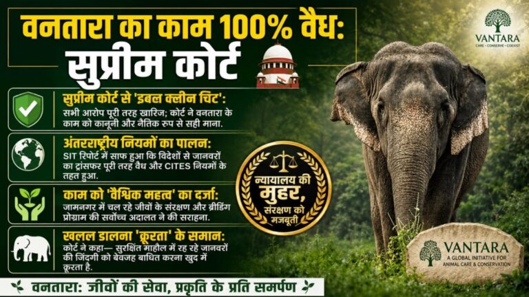 वनतारा ने सुप्रीम कोर्ट के फैसले का किया स्वागत, CEO बोले- यह फैसला सच्चाई की दोबारा जीत