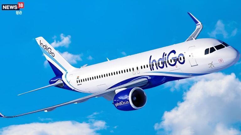 आसमान से गिरी आफत! बिजली गिरते ही अंधेरे में डूबा IndiGo का प्लेन, 141 यात्रियों में मची अफरा-तफरी