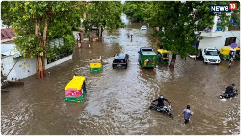 North Gujarat Flood: पानी में डूब जाएगा उत्तरी गुजरात? 24 घंटे में 340 मिमी बारिश का तांडव, 42000 से ज्यादा बेघर, 308 बेजुबानों की मौत
