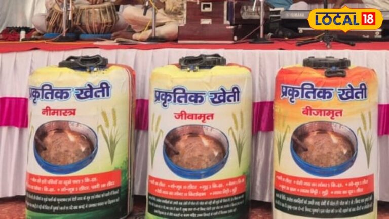 महंगी दवा छोड़िए, घर पर बनाइए ‘नीमास्त्र’, फसलों के कीटों पर करेगा असरदार वार