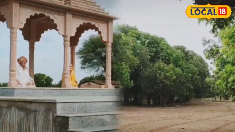 अनपढ़ पिता का 40 साल पुराना फैसला बना करोड़ों की सीख! खेत की मेड़ पर लगाए 200 आम के पेड़, हर साल 15 लाख की कमाई