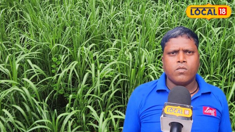 किसान दुर्गेश कुमार सिंह से जानें गन्ने की खेती के फायदे, लागत, मुनाफा और बीमारियों से बचाव के तरीके
